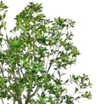 Umetno drevo Eira 250 cm