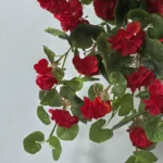 Umeta geranija rdeča viseča 80 cm UV Umeta geranija rdeča viseča 80 cm UV