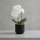 Cvetlični lonec Nature Groove črne barve 17cm Capi