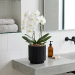 Cvetlični lonec Nature Groove črne barve 17cm Capi