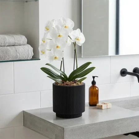 Cvetlični lonec Nature Groove črne barve 17cm Capi