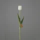 Umetni tulipan krem 50cm RT