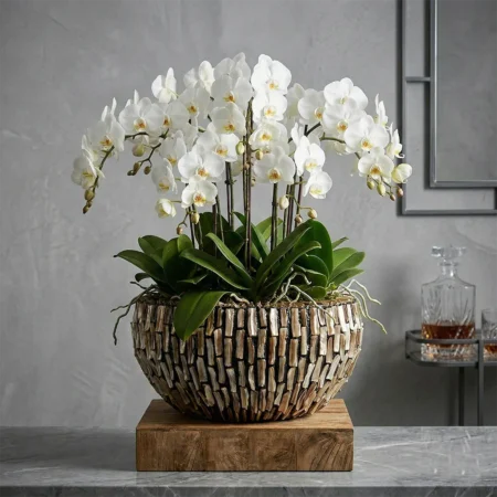 Vaza za rože Aurelia 45 x 22 cm dark pearl