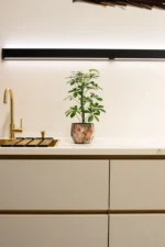 Okrasni lonec za rože Monstera mystery