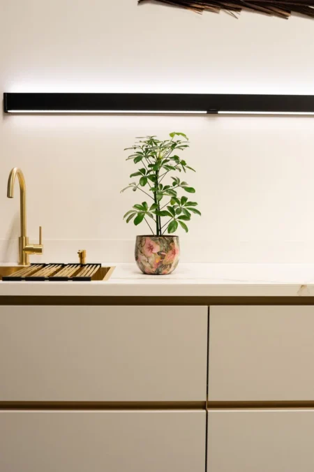 Okrasni lonec za rože Monstera mystery