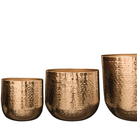 Okrasni lonec Carly gold - pločevinasti cvetlični lonci Bonsai dekorativne rastline