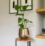 Okrasni lonec Carly gold - pločevinasti cvetlični lonci Bonsai dekorativne rastline