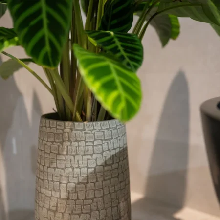 Vaza za rože Renco sand D31 H68