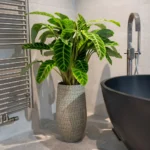 Vaza za rože Renco sand D31 H68