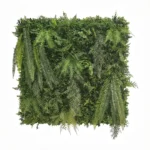 Zelena stena Jungle 100x100 UV