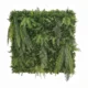 Zelena stena Jungle 100x100 UV