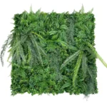 Zelena stena Jungle 100x100 UV