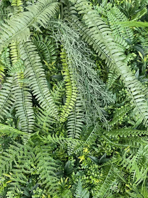 Zelena stena Jungle 100x100 UV