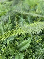 Zelena stena Jungle 100x100 UV