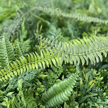 Zelena stena Jungle 100x100 UV