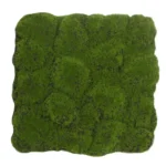 Mahovnati panel 50 x 50 cm MossArt