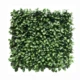 Zeleni panel mystic Garden 50x50 UV