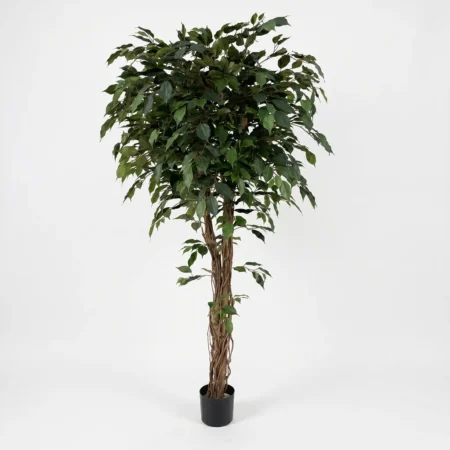 Umetni Ficus 170 cm z zvitimi stebli umetna drevesa