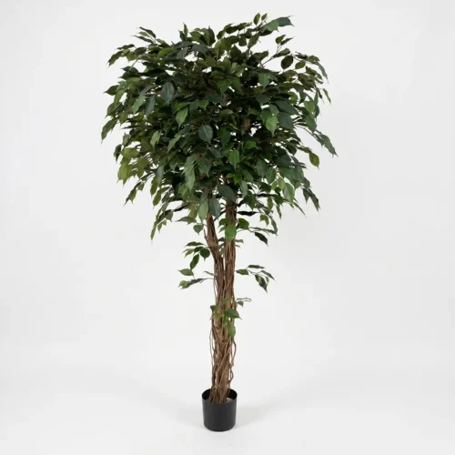 Umetni Ficus 170 cm z zvitimi stebli umetna drevesa
