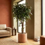 Umetni Ficus 170 cm z zvitimi stebli
