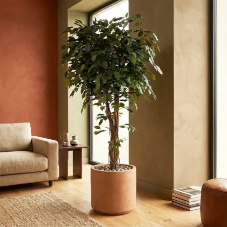 Umetni Ficus 170 cm z zvitimi stebli