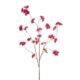 Cvetna veja Beauty 126 cm roza