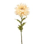 Krizantema krem 63cm