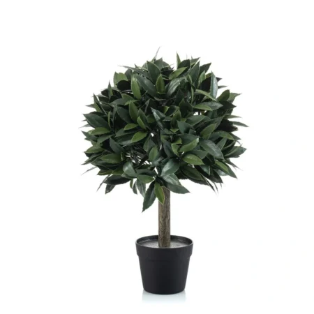Lovor na steblu 65 cm UV