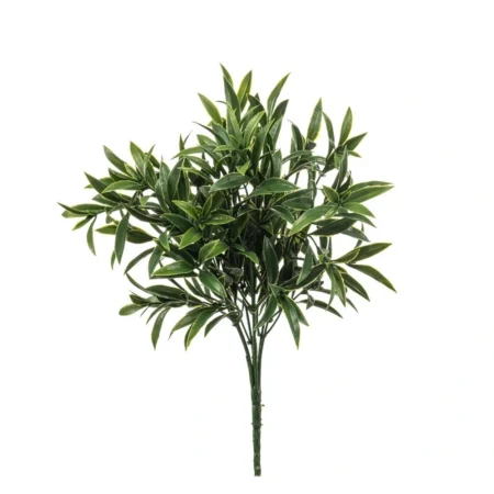 Ruscus grm UV 35cm