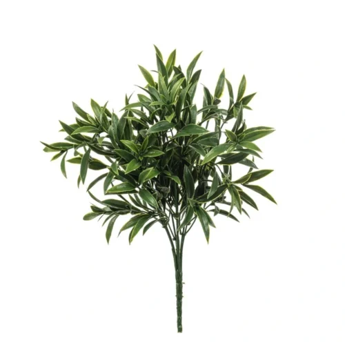 Ruscus grm UV 35cm