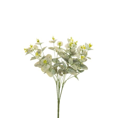 Eucalyptus grm 47 cm