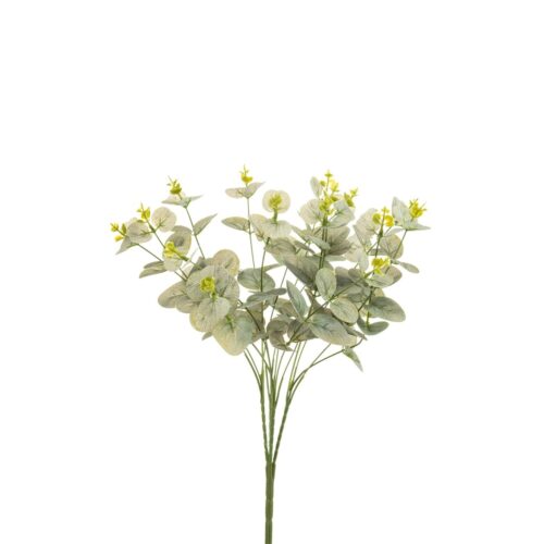 Eucalyptus grm 47 cm