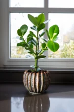 Okrasni lonec za rože Casie mint d23 x 18cm