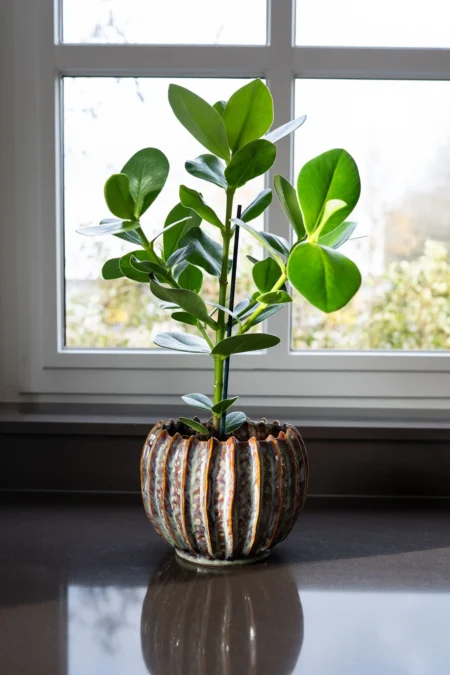 Okrasni lonec za rože Casie mint d23 x 18cm