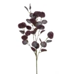 Evkalipt purple 85cm