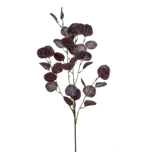 Evkalipt purple 85cm