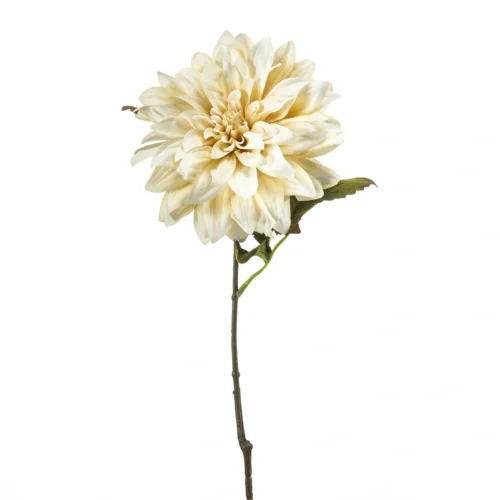 Dalija 55 cm krem