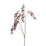 Lepidium veja burgundy 110cm