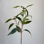 Umetna evkalipt veja Willow 57 cm