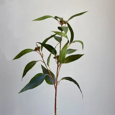 Umetna evkalipt veja Willow 57 cm