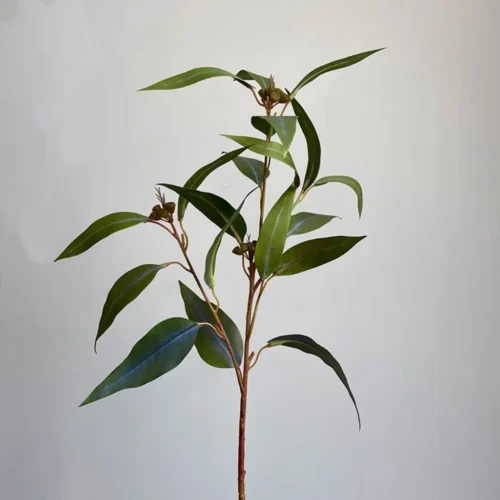 Umetna evkalipt veja Willow 57 cm