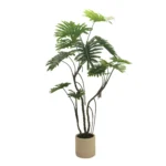 Umetna monstera 180cm v loncu