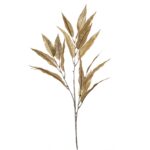 Evkalipt veja zlata 80 cm