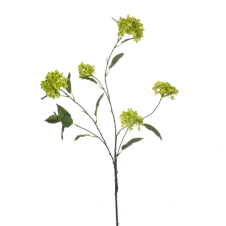 Viburnum veja zelena 113